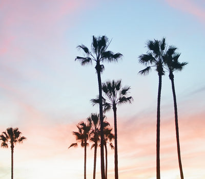 Cities That Inspire Me | Los Angeles City Guide